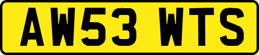 AW53WTS