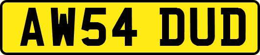 AW54DUD