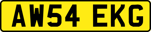 AW54EKG