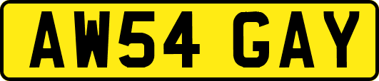AW54GAY