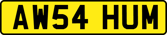 AW54HUM