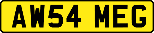 AW54MEG