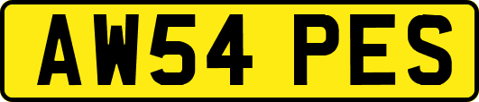 AW54PES
