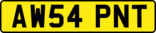 AW54PNT
