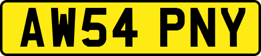 AW54PNY