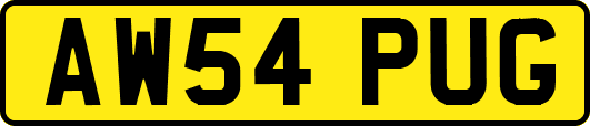 AW54PUG