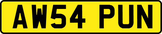AW54PUN