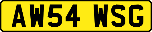 AW54WSG
