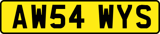 AW54WYS
