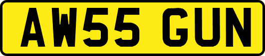 AW55GUN