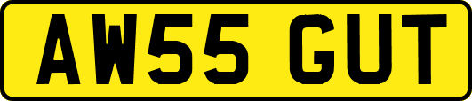AW55GUT