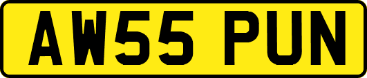 AW55PUN