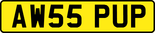 AW55PUP