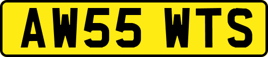 AW55WTS