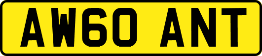 AW60ANT