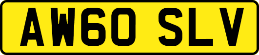 AW60SLV
