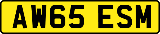 AW65ESM