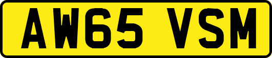 AW65VSM