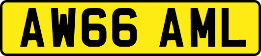 AW66AML