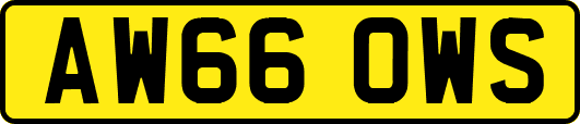 AW66OWS
