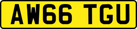 AW66TGU