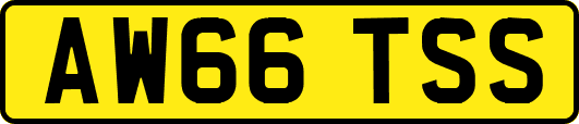 AW66TSS