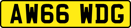 AW66WDG