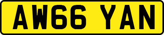 AW66YAN