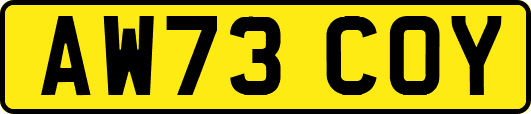 AW73COY