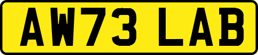 AW73LAB