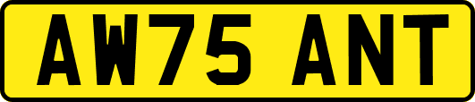 AW75ANT