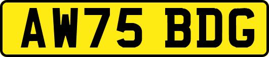 AW75BDG