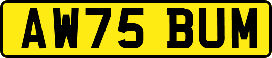 AW75BUM