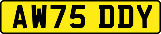 AW75DDY