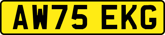 AW75EKG