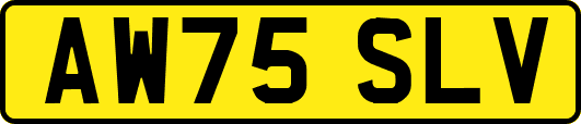 AW75SLV