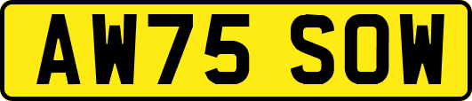AW75SOW