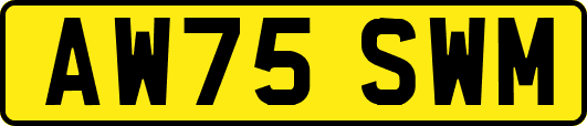 AW75SWM