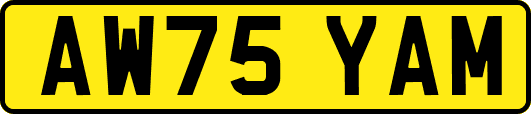 AW75YAM
