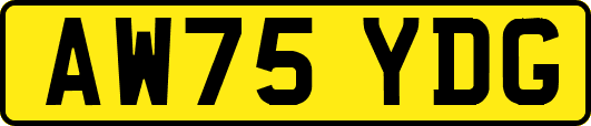 AW75YDG