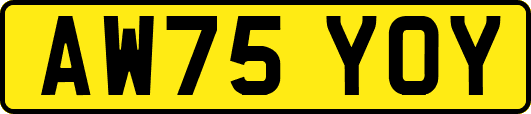 AW75YOY
