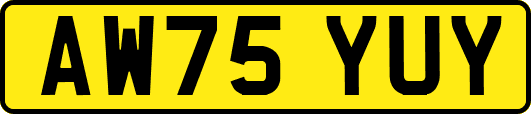 AW75YUY