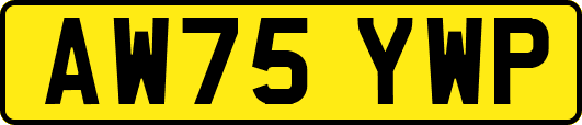 AW75YWP