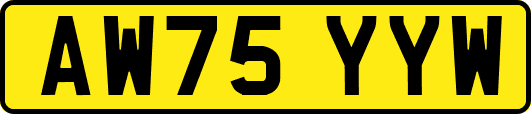 AW75YYW