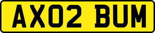 AX02BUM