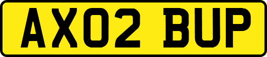 AX02BUP