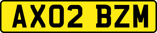 AX02BZM