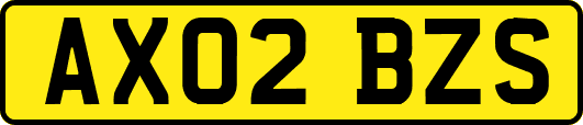 AX02BZS