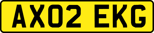 AX02EKG