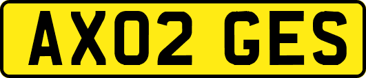 AX02GES